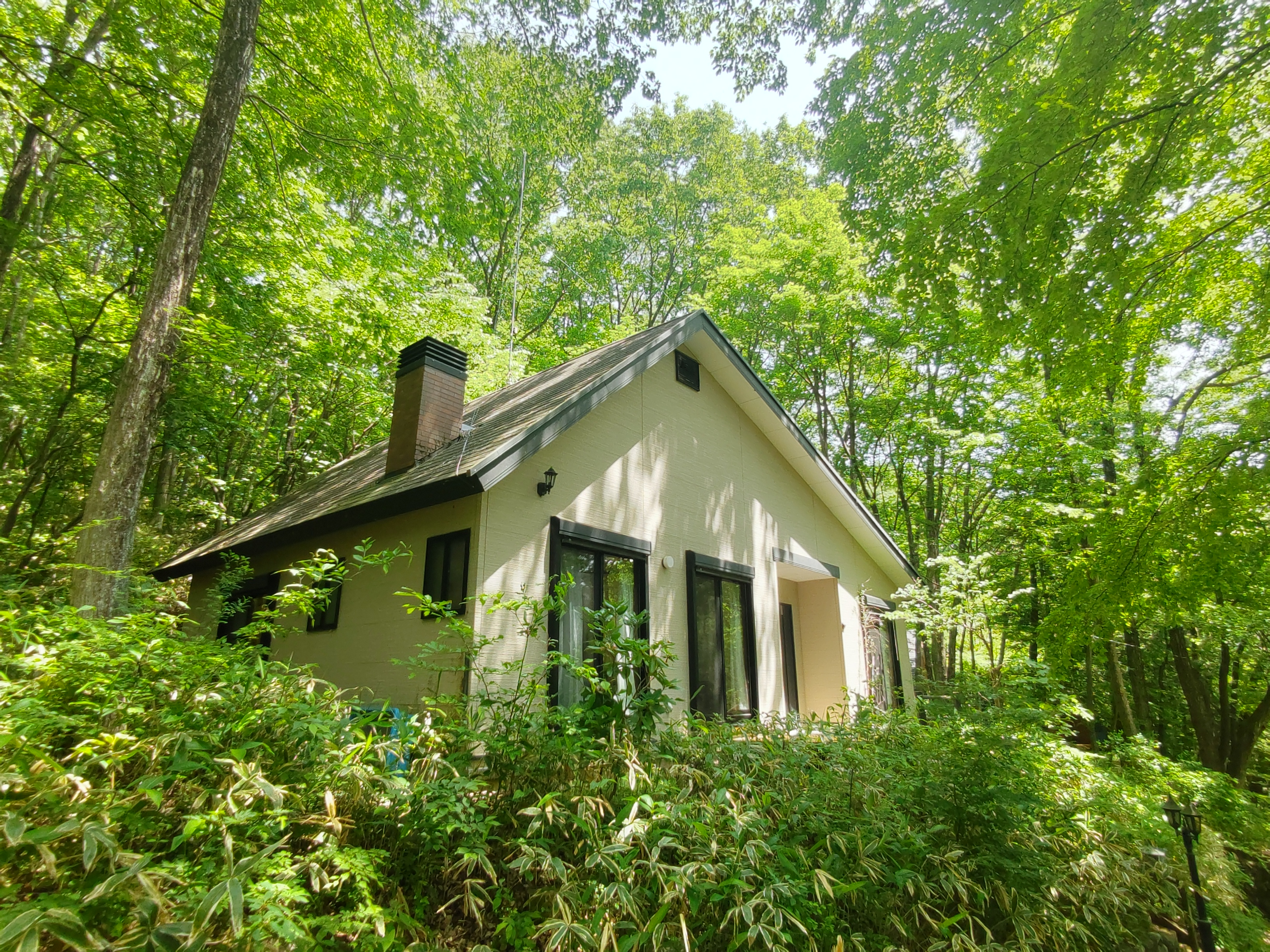 Property Photo 1