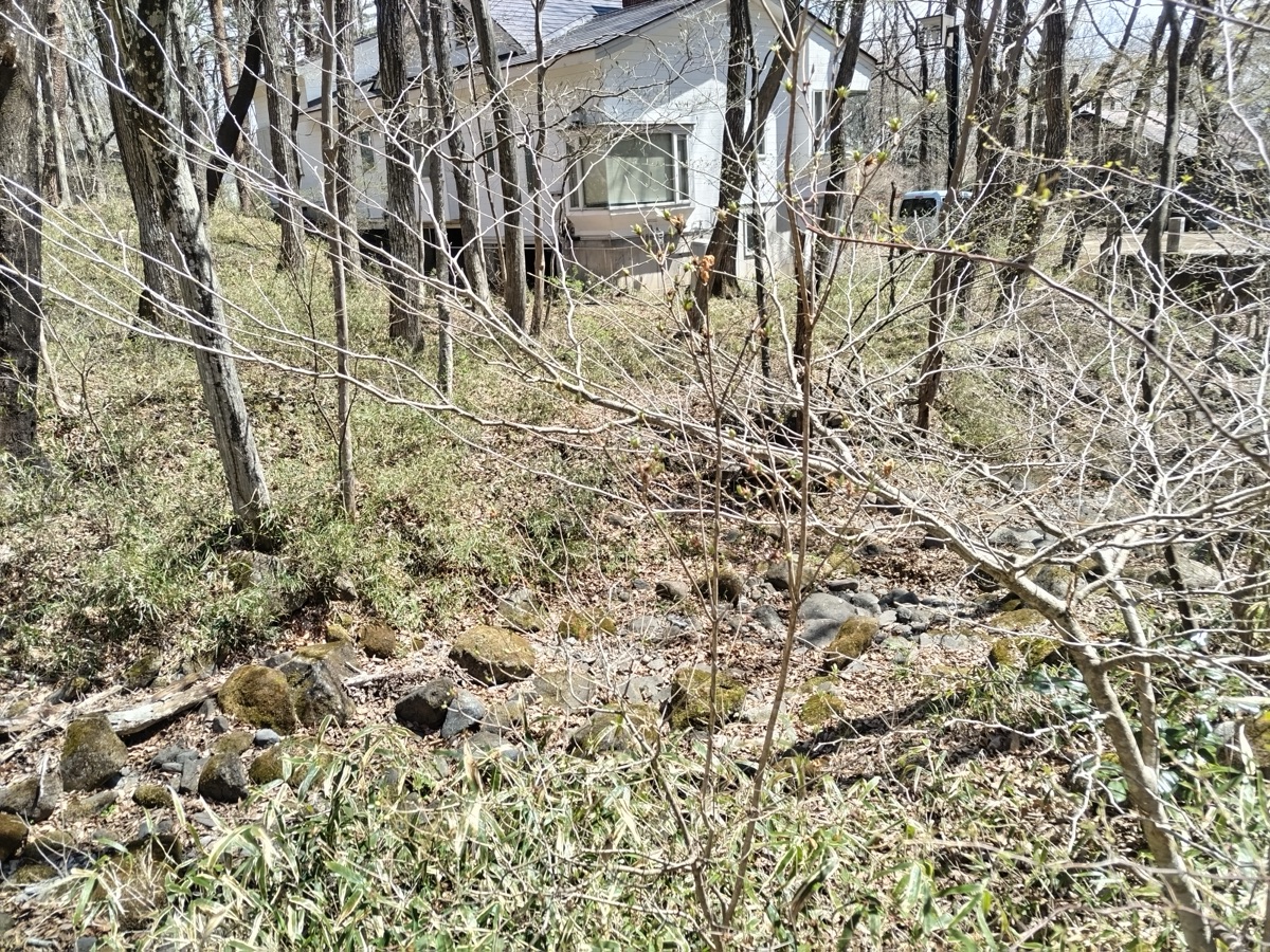 Property Photo 18