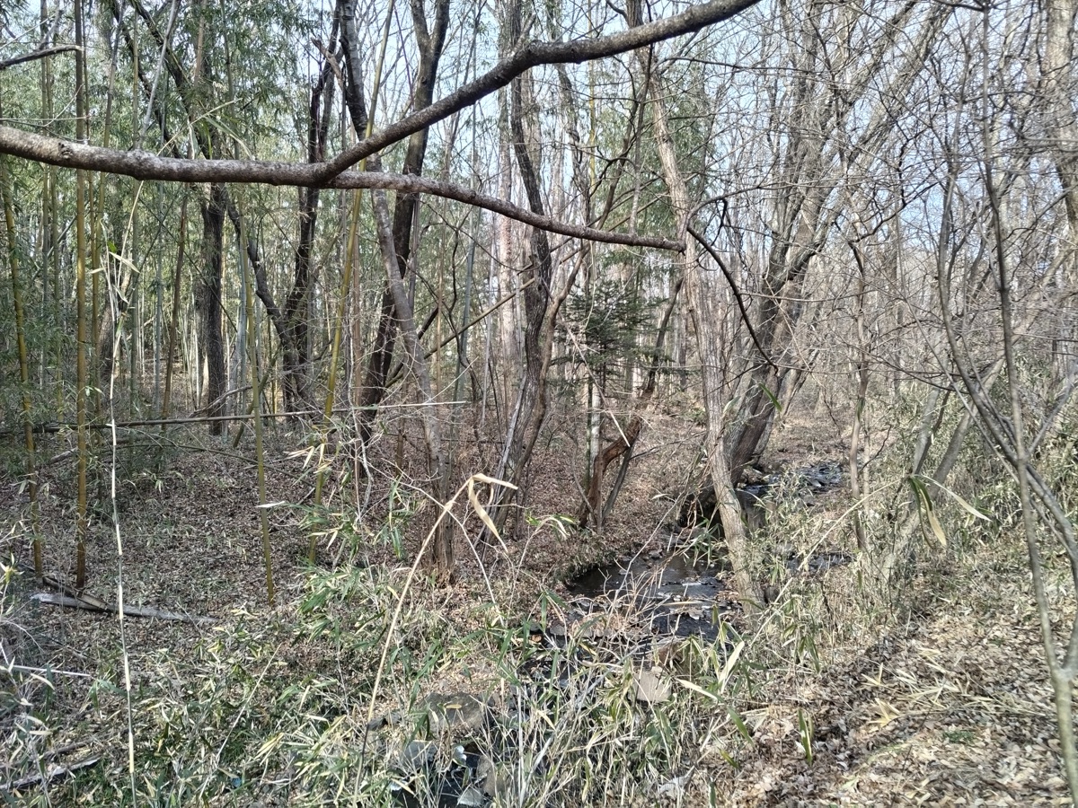 Property Photo 15