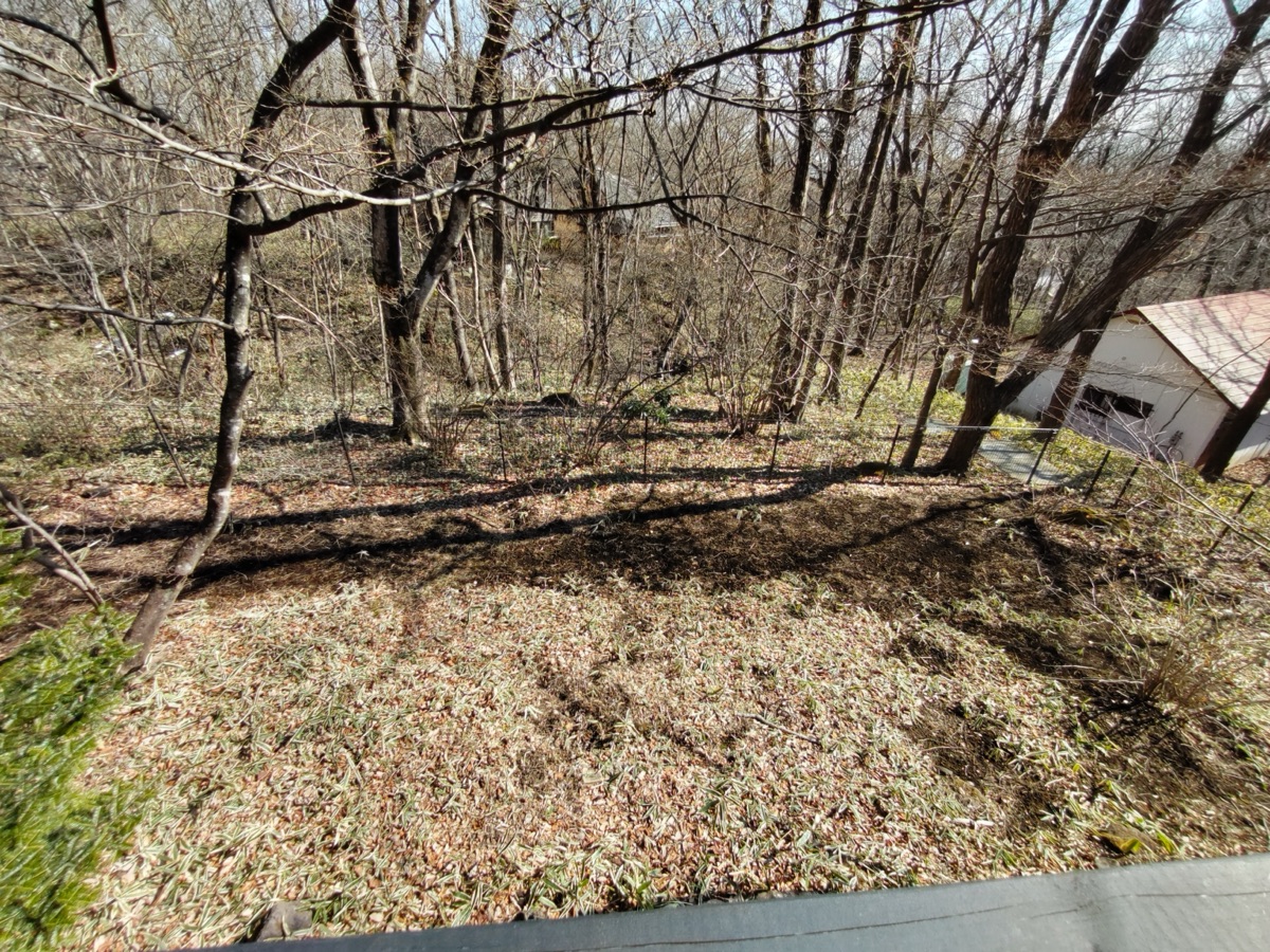 Property Photo 19