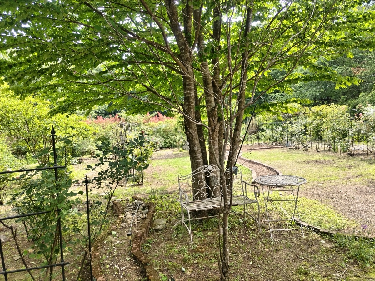 Property Photo 17