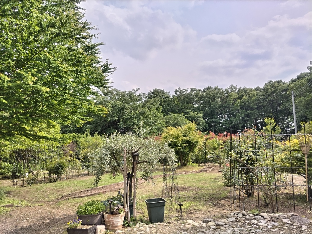 Property Photo 19