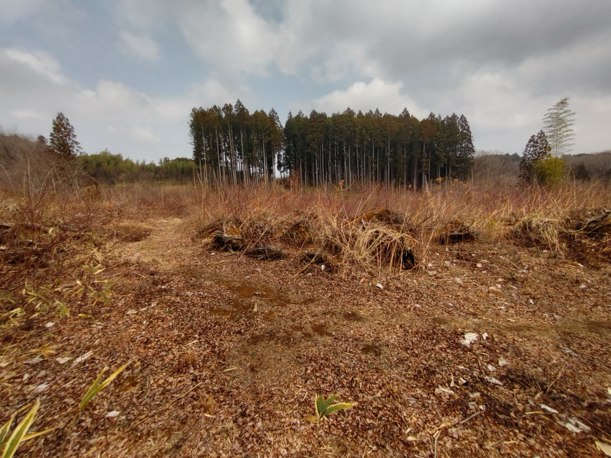 Property Photo 17